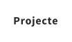 Projecte