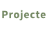 Projecte